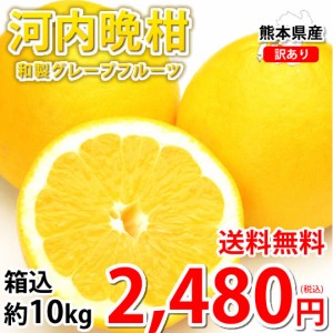 河内晩柑 みかん 送料無料 訳あり 10kg 箱込 (内容量9kg+不良果補償分500g)  S〜3L 和製グレープフルーツ お取り寄せ 晩柑 熊本県産 美生