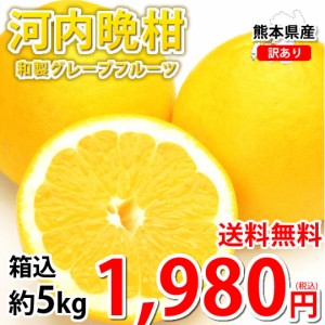 河内晩柑 みかん 送料無料 訳あり 5kg 箱込 (内容量4kg+不良果補償分500g)  S〜3L お取り寄せ 和製グレープフルーツ 晩柑 熊本県産 美生