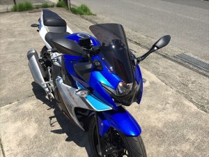  アクリポイント  【4580423291552】 SUZUKI　GSX250Rスモークスクリーン