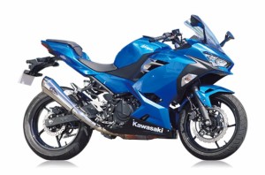 【アールズギア】 【4582329788204】 r's gear Ninja250（'18〜）,Z250（’19〜） リアルスペック S/O タイプR チタンポリッシュ RK33-03