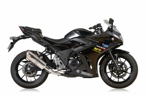 【アールズギア】 【4582329787504】 r's gear GSX250R（'17〜） リアルスペック S/O シングル チタンポリッシュ RS14-03ST