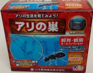 あり観察キット　アリ伝説　ニチドウ　アリの巣 夏休みの自由研究にも人気の観察グッズ