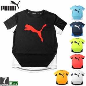 プーマ PUMA ジュニア キッズ 582896 アクティブスポーツ キャットグラフィック Tシャツ 2106 トップス シャ