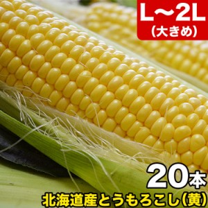 とうもろこし 黄粒 L〜2L×20本 ［北海道産 とうきび］ 【お届け日指定不可無効】 【2024年8月下旬前後頃よりご注文順に発送】