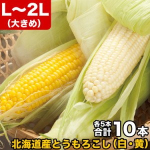 とうもろこし 黄粒 白粒 食べ比べ セット L〜2L 各5本の計10本 ［北海道産 とうきび］ 【お届け日指定不可無効】 【2024年8月下旬前後頃