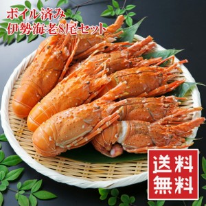 伊勢海老 8尾 約1.5kg 高級 伊勢エビ 便利なハーフカット済 ボイル済 プリプリ食感 濃厚な味 ヒゲ折れ 少しだけ訳あり 冷凍 送料無料-