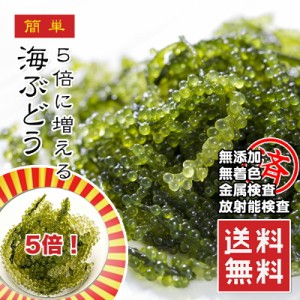 海ぶどう 5倍に膨らむ大容量 x1パック 2袋 味で勝負 ご当地グルメ 常温 1000円ポッキリ メール便 送料無料 楽天ランキング1位