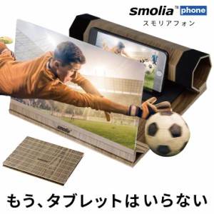 スマホ 拡大鏡 拡大 スマホ拡大鏡 12インチ スマホ画面 拡大レンズ 携帯スクリーン スクリーン拡大鏡 スマホ拡大レンズ スマホ拡大鏡スク