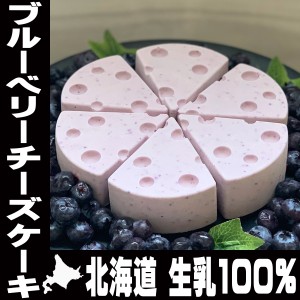 父の日 チーズケーキ ブルーベリー ホール 直径14cm 6ピース 420g 北海道 生乳100％ 可愛い形 CHACOCHEE 誕生日 送料無料 ははの日 母の