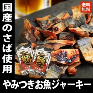 お魚 ジャーキー サバ ジャーキー やみつき珍味 焼き鯖ジューシー 75g×2 国産 メール便 送料無料 買い回り おつまみ 珍味