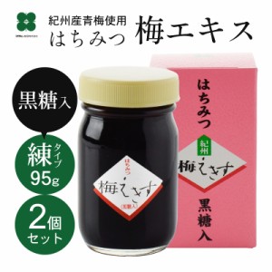 梅肉エキス 梅エキス はちみつ梅エキス 黒糖 ハチミツ 練タイプ お得サイズ 95g×2個 クエン酸 ムメフラール含有 クエン酸 紀州 国内 和