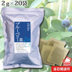 【ポスト投函便送料無料】小川生薬 ブルーベリー茶（葉・軸） 2g×20袋