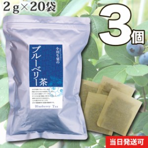 【送料無料】小川生薬 ブルーベリー茶（葉・軸） 2g×20袋 3個セット