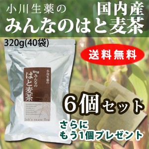 【送料無料】小川生薬 国内産みんなのはと麦茶 8g×40袋 6個セットさらにもう1個プレゼント