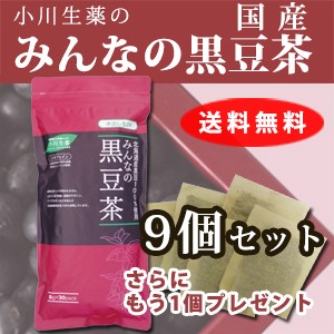 【送料無料】小川生薬 北海道産黒豆茶 8g×30袋 9個セットさらにもう1個プレゼント