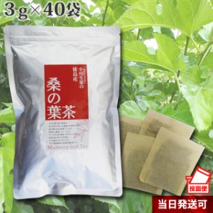 【ポスト投函便送料無料】小川生薬 徳島産桑の葉茶 3g×40袋