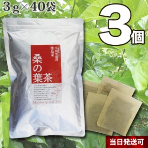 【送料無料】小川生薬 徳島産桑の葉茶 3g×40袋 3個セット