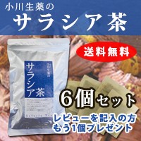 【送料無料】小川生薬 サラシア茶 3g×30袋 6個セットさらにもう1個プレゼント