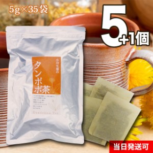 【送料無料】小川生薬 タンポポ茶 5g×35袋 5個セットさらにもう1個プレゼント