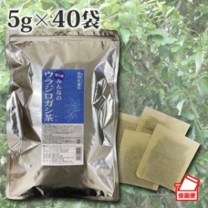 小川生薬 香川産みんなのウラジロガシ茶 5g×40袋