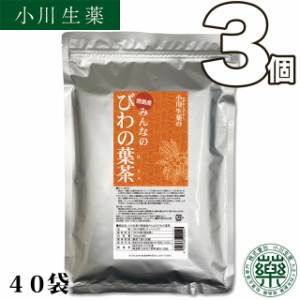 【送料無料】厳選小川生薬 徳島産みんなのびわの葉茶 3g×40袋 3個セット