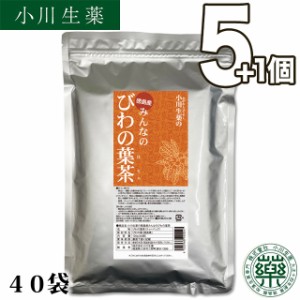 【送料無料】厳選小川生薬 徳島産みんなのびわの葉茶 3g×40袋 5個セットさらにもう1個プレゼント