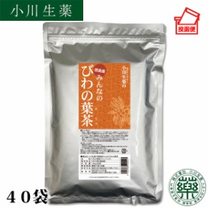 【ポスト投函便送料無料】厳選小川生薬 徳島産みんなのびわの葉茶 3g×40袋