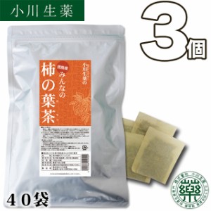 【送料無料】厳選小川生薬 徳島産みんなの柿の葉茶 3g×40袋 3個セット