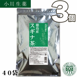 小川生薬 徳島産スギナ茶 3g×40袋 3個セット【送料無料】