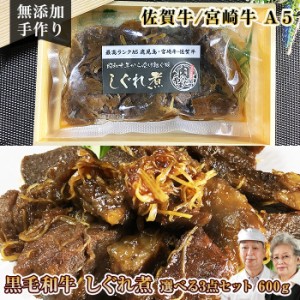 佐賀牛 宮崎牛 A5 和牛しぐれ煮 選べる3点セット 600g / 無添加 惣菜 冷凍おかず 単品よりお得！プチギフト 人気 ご飯のお供 手作り