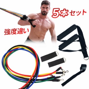 トレーニングチューブ フィットネスエクササイズ トレーニング 筋トレ ダイエット 健康器具【送料無料】の通販はau PAY マーケット