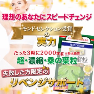 ＼ポイント20％還元／ 桑の葉100%サプリ 粒 1日で2,000mg！ 『３つ同時購入毎にもう１つ無料』  送料無料 【レビューで店舗最大特割クー