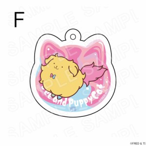 【予約 06/23 入荷予定】 ビーとパピーキャット アクリルキーホルダー（猫型）Ｆ  グッズ