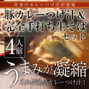 豚カレーつけ汁蕎麦セット