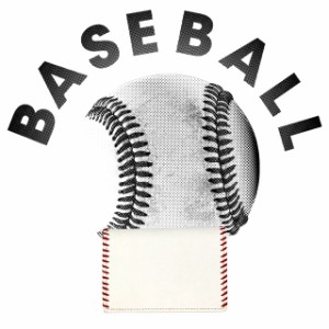 【ボールとグラブの革からできた名刺入れ】名刺入れ 野球 グローブ ベースボール ボール レザー カードケース ステッチ 硬式 メンズ 男性