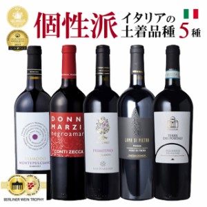 赤ワイン 5本セット イタリア ワイン   女性    飲み比べ セット 宅飲み 家飲み スペシャル   新作