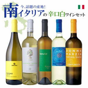 白ワイン 5本セット イタリア ワイン   女性     セット    飲み比べ セット 宅飲み 家飲み スペシャル 飲み比べ セット スペシャル   新