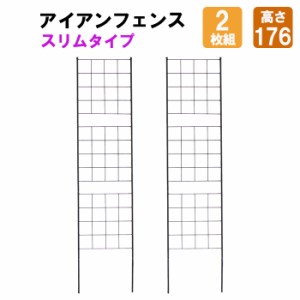 アイアンフェンス 高さ176 スリム 2枚組 フェンス アイアン スチール ガーデニングトレリス 誘引 つるバラ 屋外  MSMIK-0062