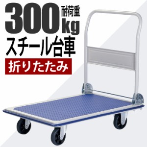 台車 折りたたみ 業務用 軽量 積載荷重300kg スチール台車 BCO-6042