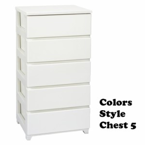 カラースタイルチェスト 5段 家具 収納 服 衣類ケース クローゼット収納 押入れ収納 eia-0140