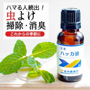 網戸 虫除け スプレーの通販 Au Pay マーケット