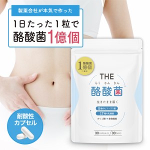  武内製薬 ＴＨＥ酪酸菌 サプリメント 乳酸菌 ビフィズス菌 オリゴ糖 食物繊維 健康 腸内環境 改善 プロバイオティクス シンバイオティク