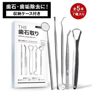  THE 歯石取り 武内製薬 【一般医療機器】 歯石除去 スケーラー 歯石とり ヤニ取り ヤニ 歯石 歯 セルフ ケア ホワイトニング 自宅 簡単 