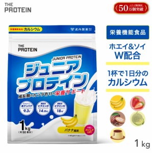 楽天市場】コスパ最強 10kg ホエイプロテイン バニラアイス