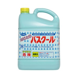 カビとりバスクール 1-3 234035 5.5kg ニイタカ 浴室 洗剤 カビ お風呂 風呂 カビ取り 介護 介護用品