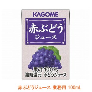 介護食品 介護食 ドリンク 飲料 水分補給 手軽 ビタミン 紙パック カゴメ 赤ぶどうジュース 業務用 8643 100mL 介護用品