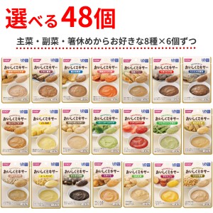 介護食 選べる 8種×6個 セット 区分4 おいしくミキサー おかず 50g 48個 主菜 副菜 箸休め ホリカフーズ まとめ買い レトルト食品 ミキ