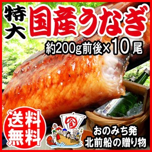 贈り物 ギフト 贈り物ギフト プレゼント 送料無料 うなぎ 蒲焼き 国内産 ランキング【国産】 国内産 炭火焼うなぎ蒲焼 特大10尾入 宮崎県