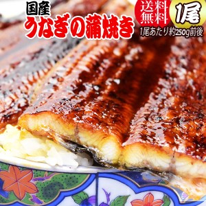 ギフト 特大1尾 (約250g前後) うなぎ 蒲焼き【国産 国内産】炭火焼うなぎ蒲焼1尾 特大 宮崎県産・鹿児島産　f_unagi グルメ 土用の丑の日