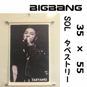 BIGBANG ビッグバン テヤン　SOL タペストリー 韓流 グッズ　壁掛け　ポスター　33cm×55cm